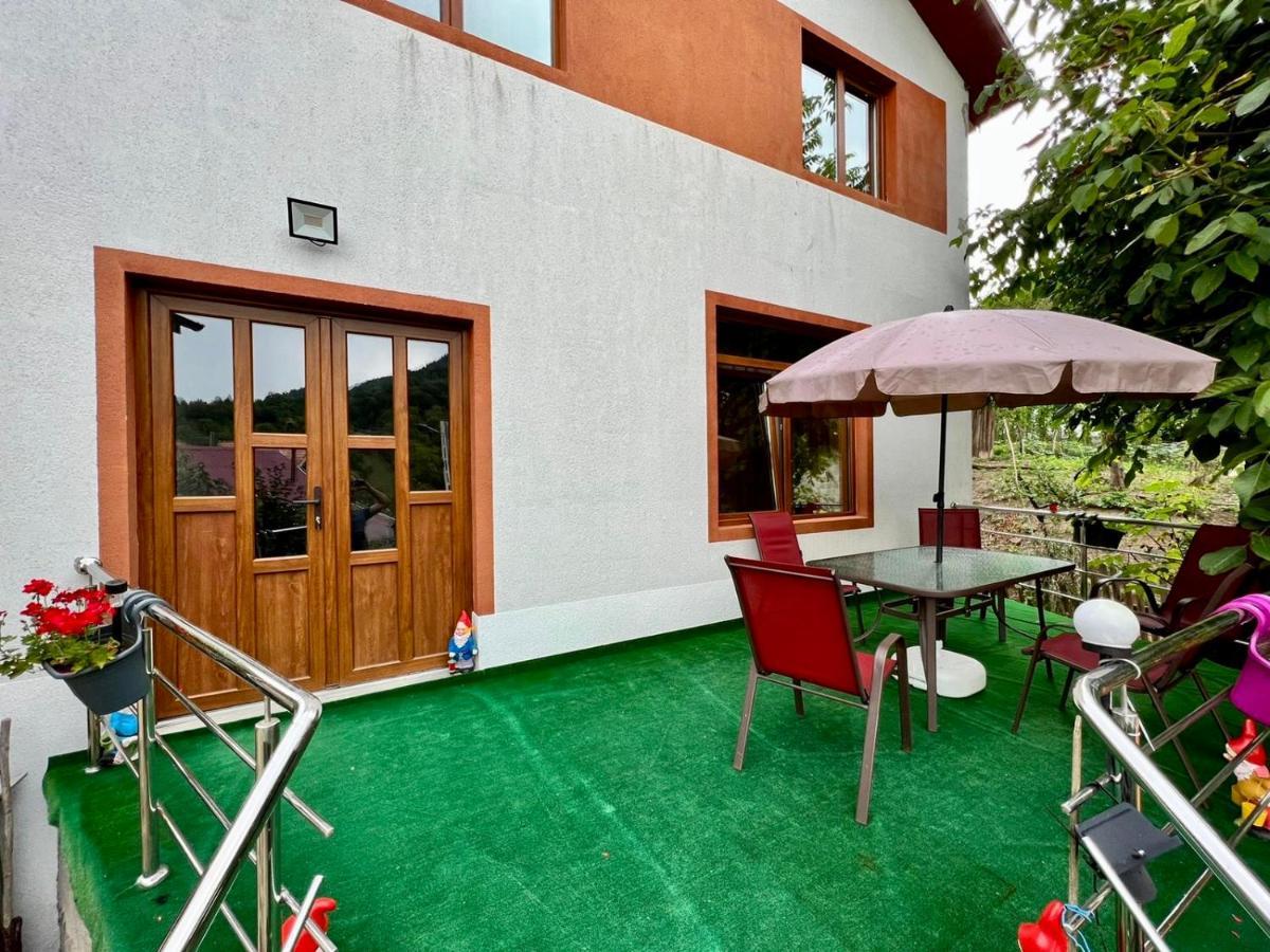 Casa Camelia Nehoiu Exterior foto