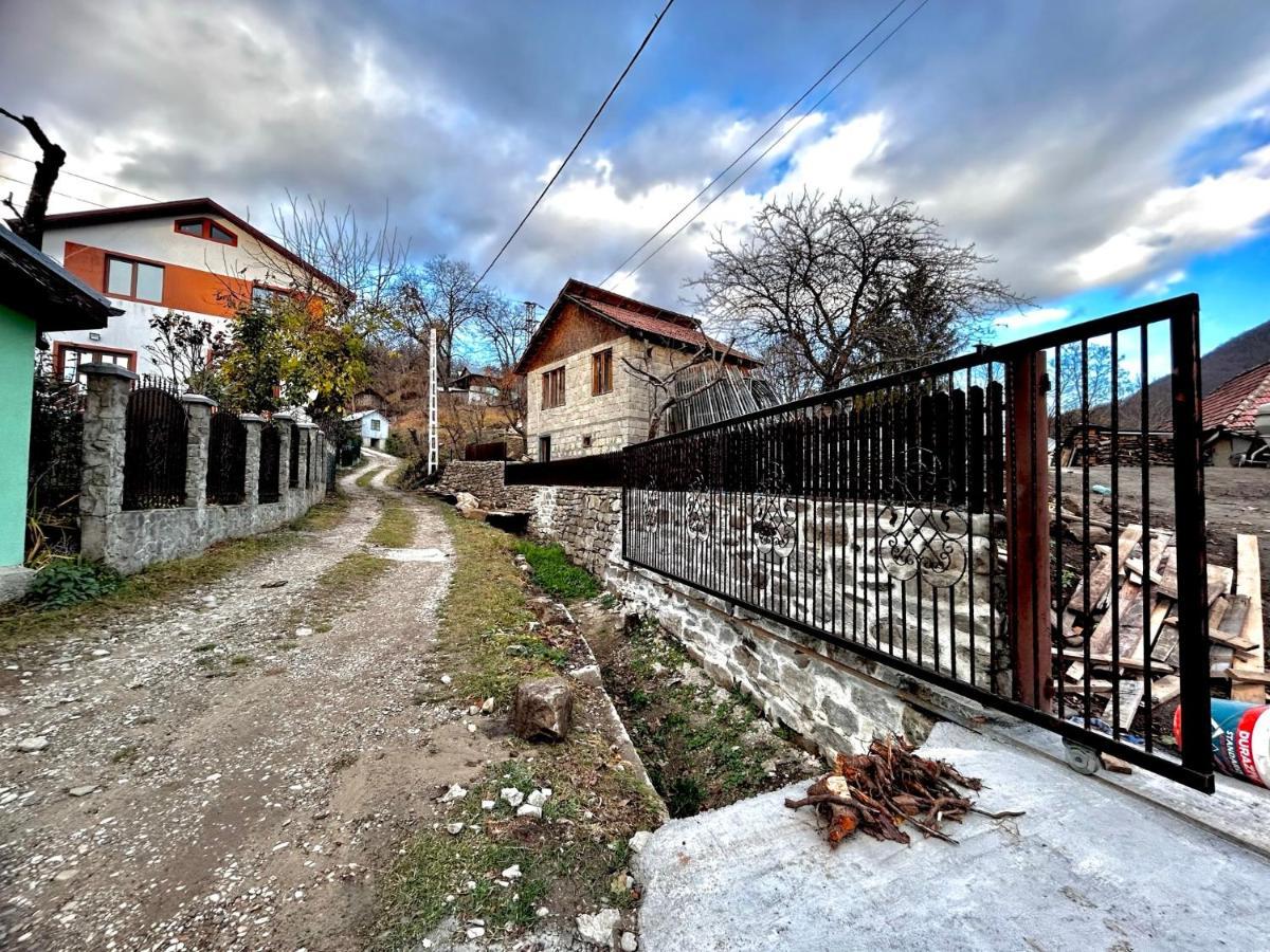 Casa Camelia Nehoiu Exterior foto