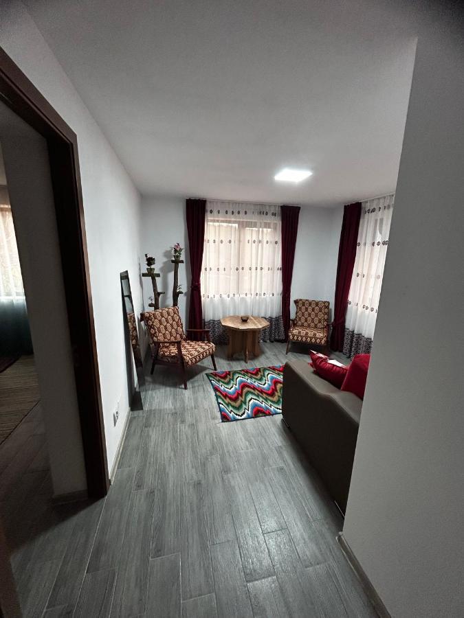 Casa Camelia Nehoiu Exterior foto