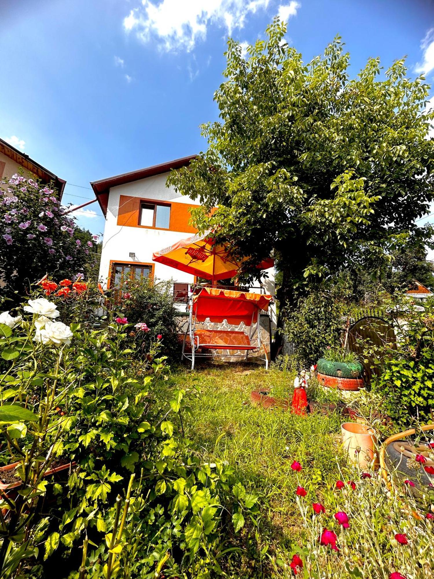 Casa Camelia Nehoiu Exterior foto